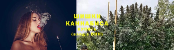 мдпв Кодинск