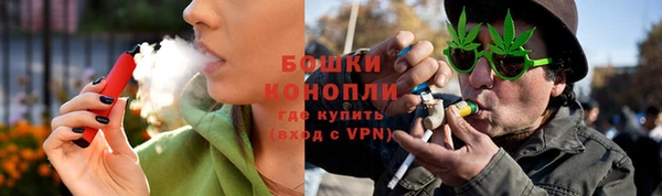амф Козловка