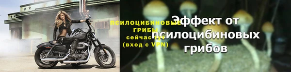 прущая мука Галич