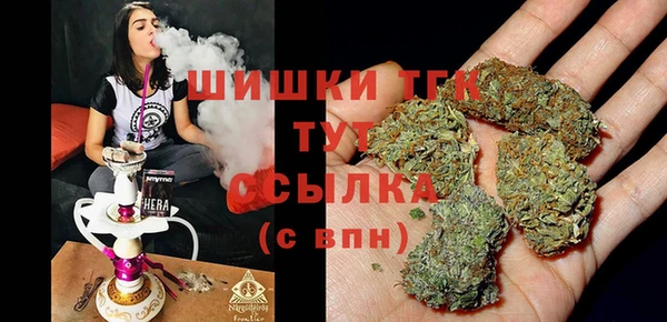 мдпв Кодинск