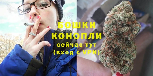 амф Козловка